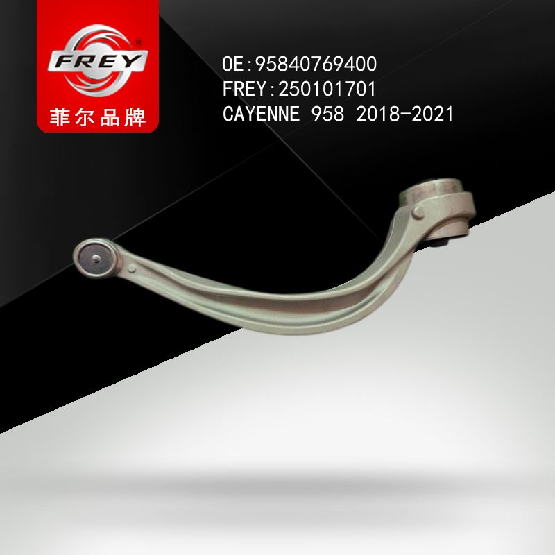 FREY Рычаг передний 250101701 (OEM VAG 95840769400)