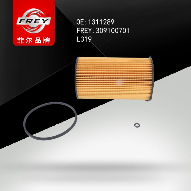 FREY Фильтр масляный 309100701 (OEM Land Rover 1311289)