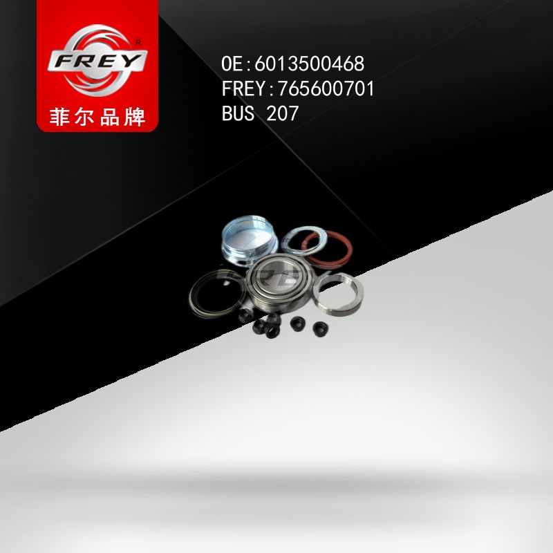 FREY Подшипник ступицы колеса к-т 765600701 (OEM Mercedes Benz A6013500468)