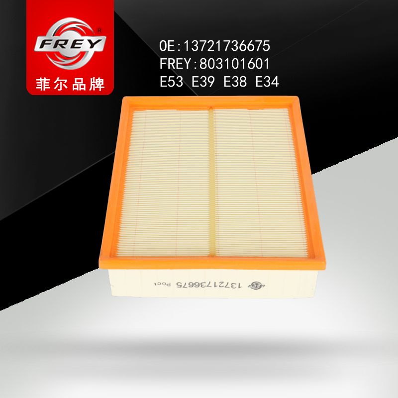 FREY Фильтр воздушный, 803101601 (OEM 13721736675 BMW)