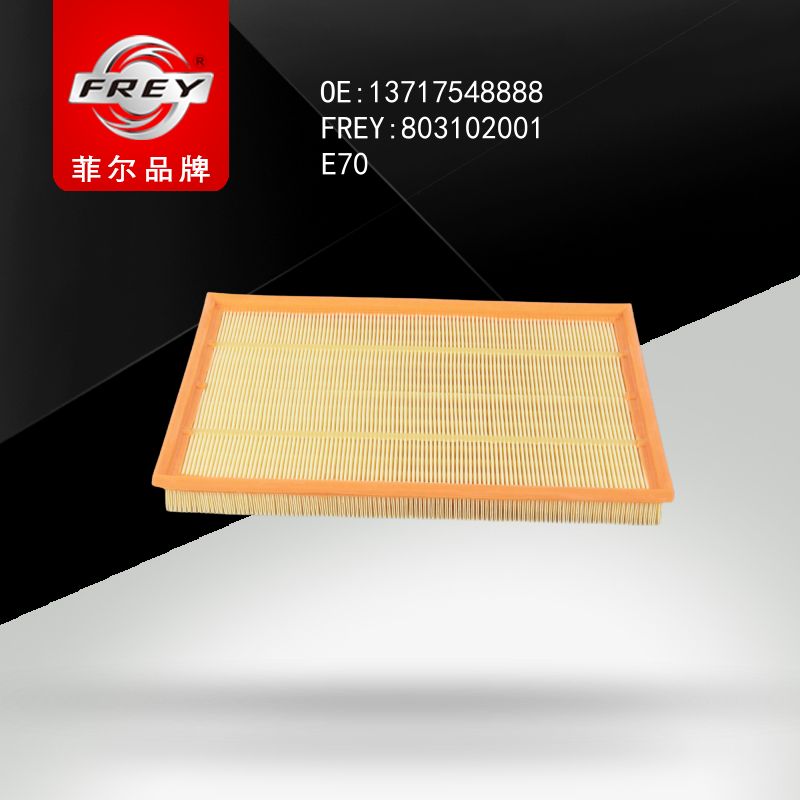 FREY Фильтр воздушный LX2036 803102001 (OEM BMW 13717548888)