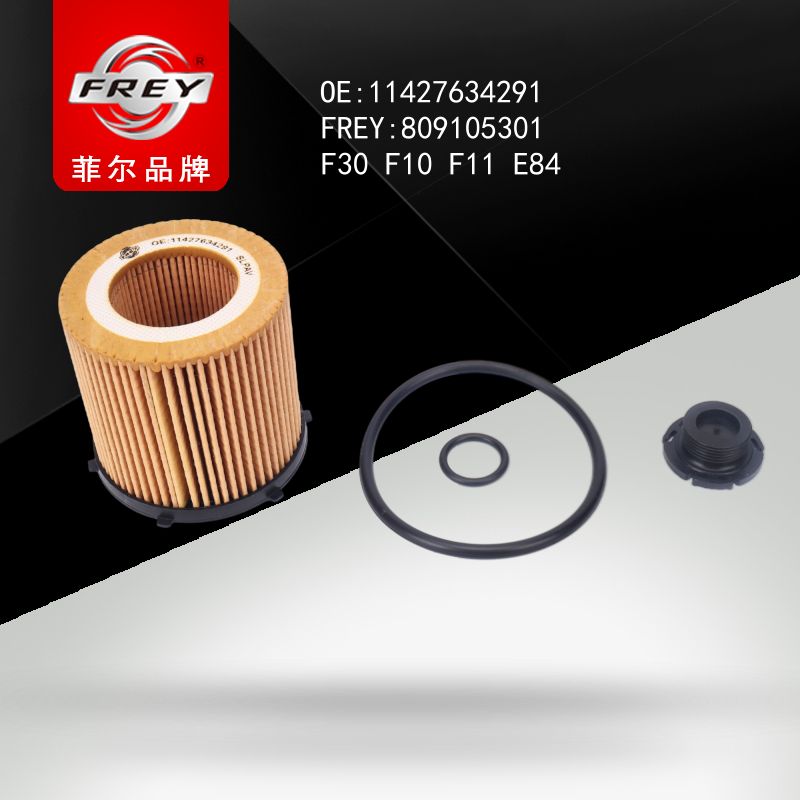 FREY Фильтр масляный 809105301 (OEM BMW 11427634291)