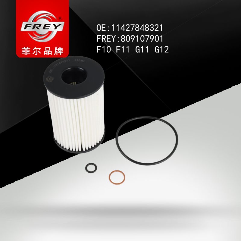 FREY Фильтр масляный 809107901 (OEM BMW 11427848321)