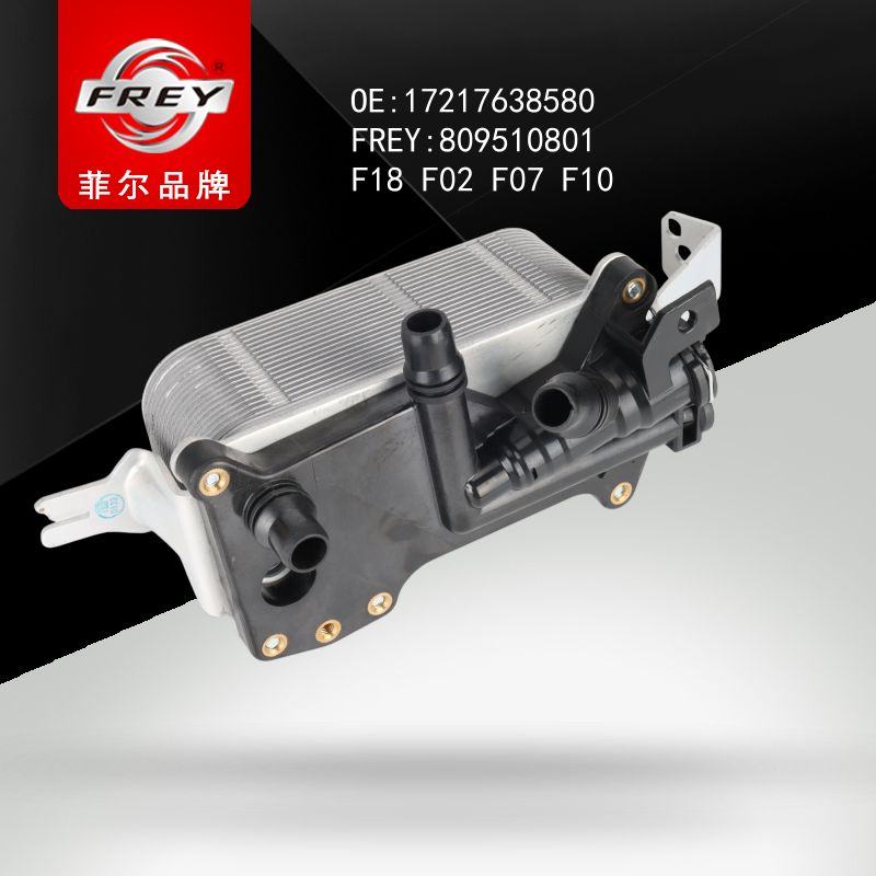 FREY Радиатор масляный в сборе 809510801 (OEM BMW 17217638580)