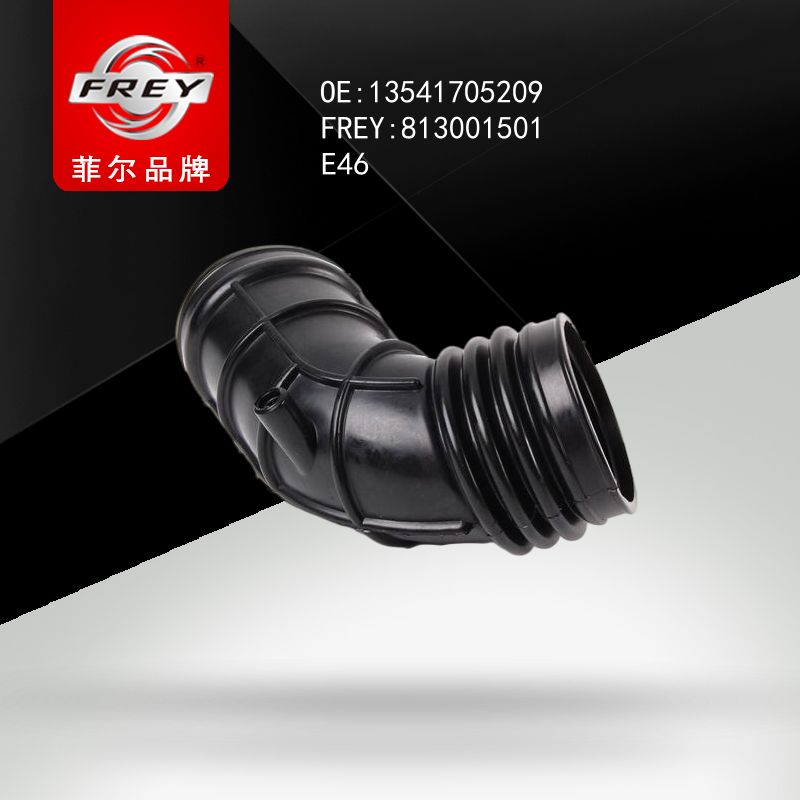 FREY Патрубок воздушный 813001501 (OEM BMW 13541705209)