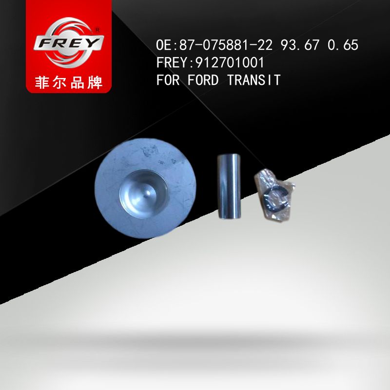 FREY Поршень ДВС с  Ford Transit 2.5D 93.67 912701001 (OEM Nural 8770890065)