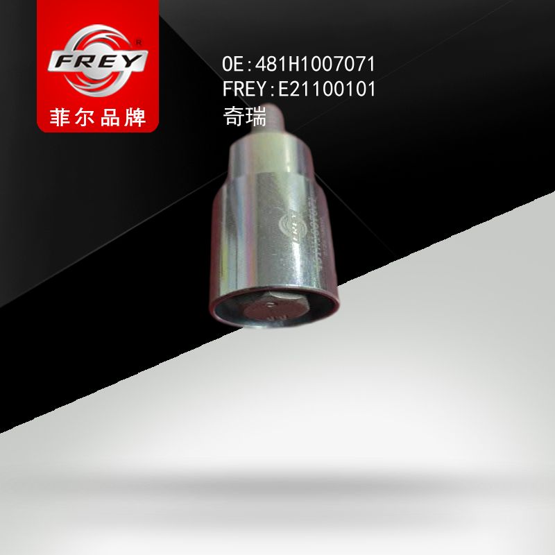 FREY Ролик обводной ГРМ E21100101 (OEM Chery 481H1007071)